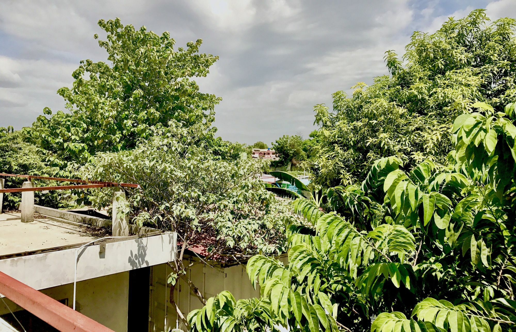 Haiti Communitere Hostel Port-au-Prince Exterior photo